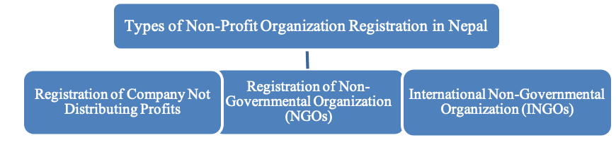 Types of company not distributing profit